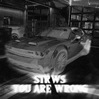 You Are Wrong by Strws