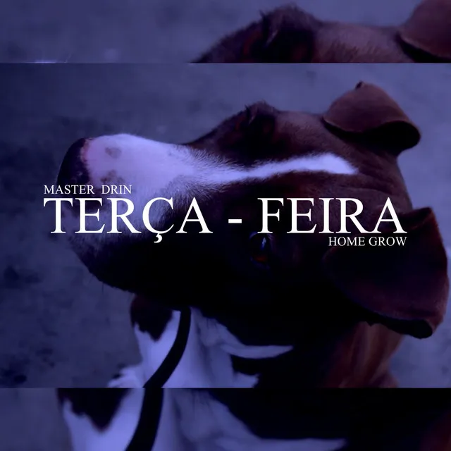 Terça-Feira