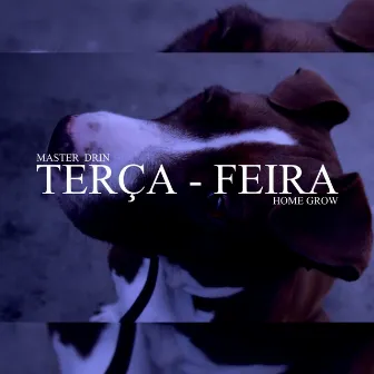 Terça-Feira by Home Grow