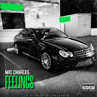 Feelings by Mic Charles