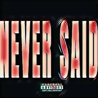 Never Said by Ski bambino