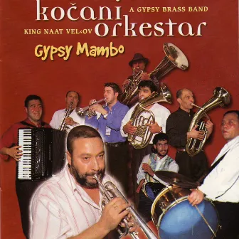 Gypsy mambo by Kočani Orkestar