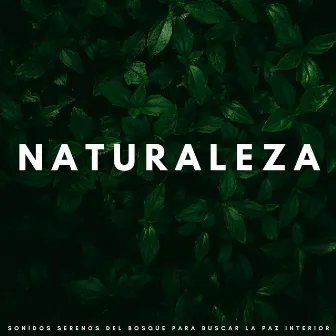 Naturaleza: Sonidos Serenos Del Bosque Para Buscar La Paz Interior by Ahora: Relajante