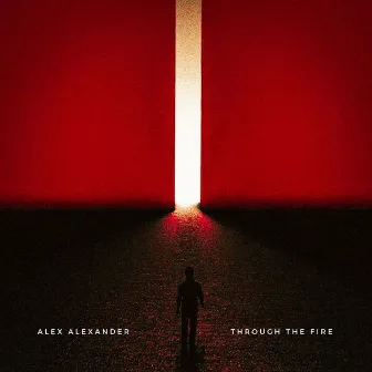 Through The Fire by Alex Alexander