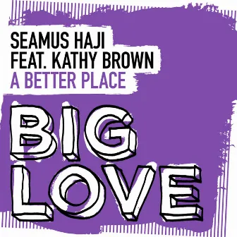 A Better Place by Seamus Haji