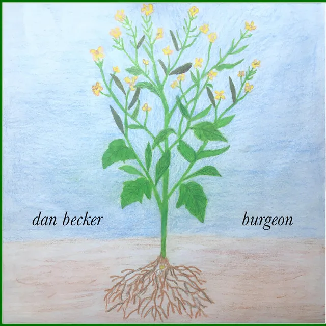 Burgeon