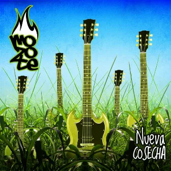 Nueva Cosecha by Mozote