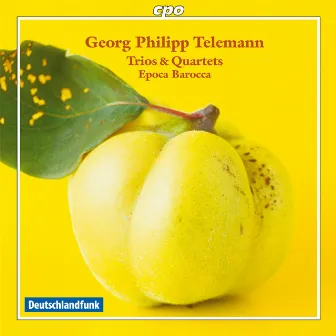 Telemann: Trios & Quartets by Epoca Barocca