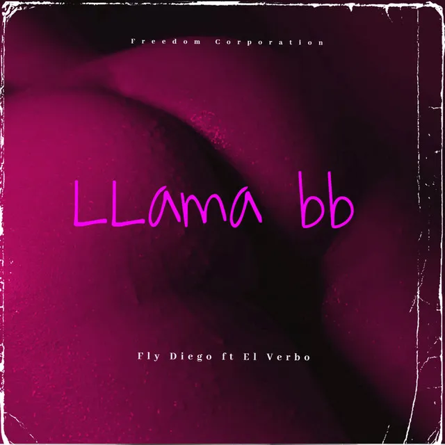 Llama bb