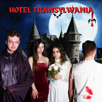 Hotel Transylwania by 