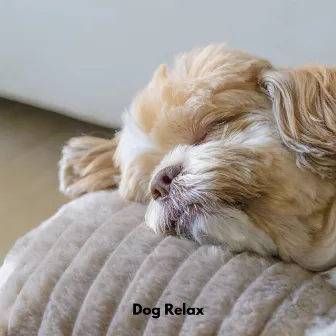 Dog Relax by Dog Chill Out Music