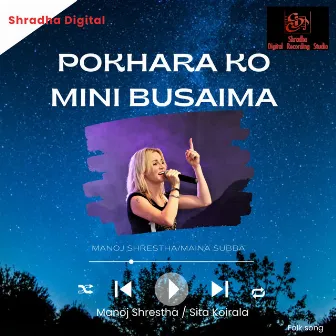 Pokhara Ko Mini Busaima by Manoj Shrestha