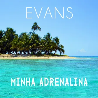 Minha Adrenalina by Evans