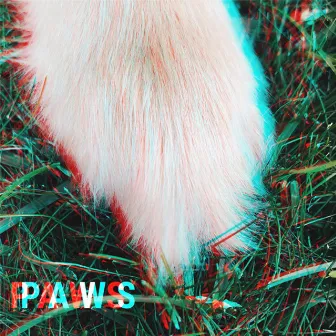 Paws by Mystic Order