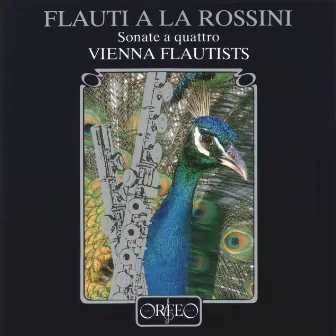 Flauti a la Rossini by Unknown Artist