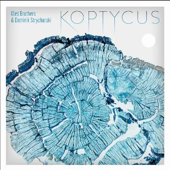 Koptycus by Oleś Brothers