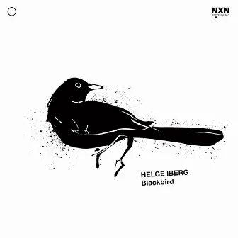 Blackbird by Helge Iberg