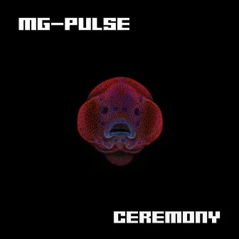 Ceremony by Marco Galardi Pulse