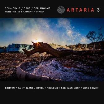 ARTARIA 3 by Celia Craig