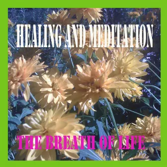 Healing and Meditation by The Breath of Life