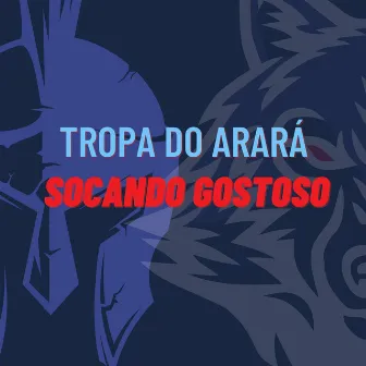 Tropa do Arará Socando Gostoso by Dj Cocão do Arará