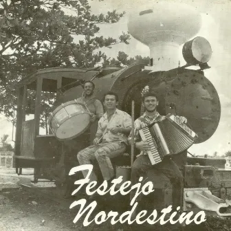 Festejo Nordestino by Amazan