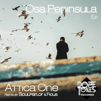 Osa Peninsula by Attica One