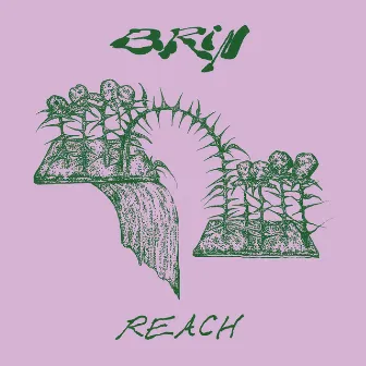 Reach by Brin