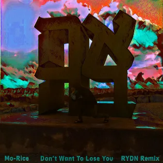 Don't Want to Lose You (Rydn Remix) by RYDN