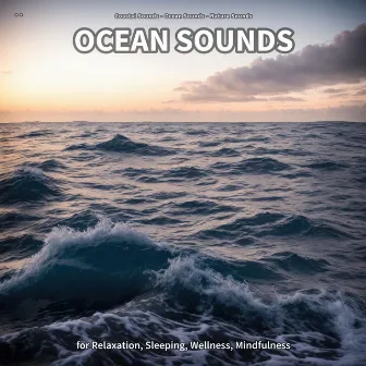 ** Ocean Sounds for Relaxation, Sleeping, Wellness, Mindfulness by Coastal Sounds