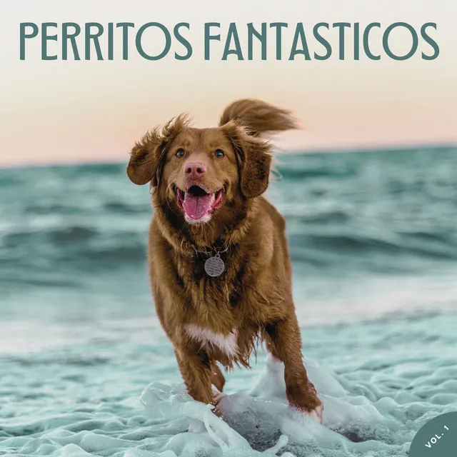 Radio para perros 1