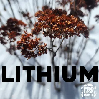 Lithium by Pro Knows Music