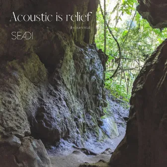 Acoustic Is Relief by Seadi