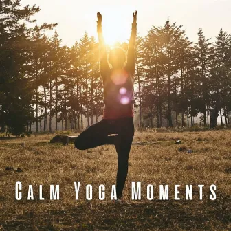 Calm Yoga Moments: Lofi Ambience for Mindful Asanas by Yoga Solitude