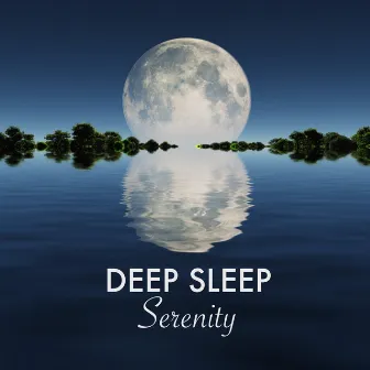 Deep Sleep Serenity - Sleeping Songs to Sleep Well by Unknown Artist