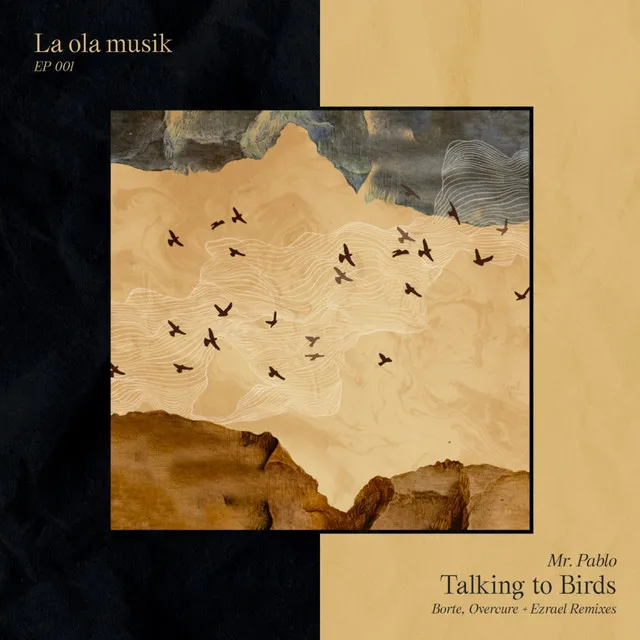 Talking to Birds - Borte Remix