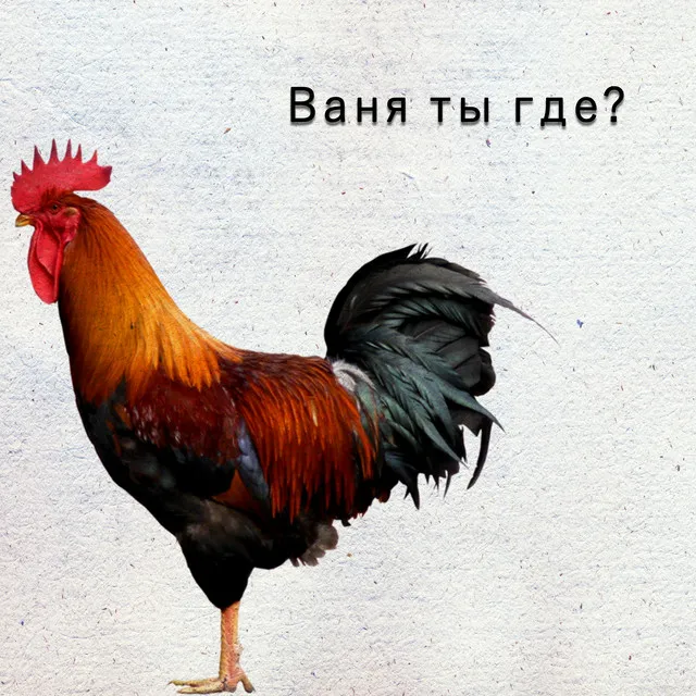 Ваня ты где?