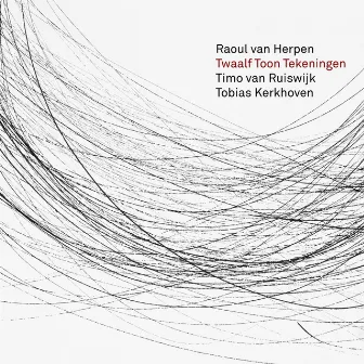 Twaalf Toon Tekeningen by Raoul van Herpen