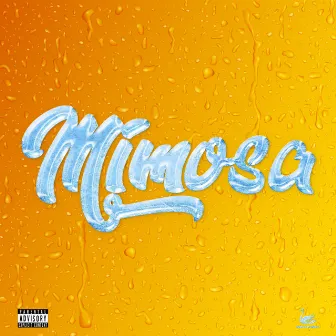 Mimosa by Switalski