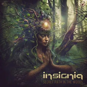 Secret path in the Woods by Insignia