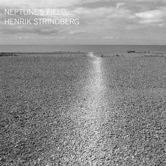 Neptune's Field by Henrik Strindberg