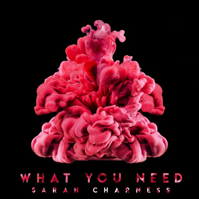 What You Need (Extended Mix)