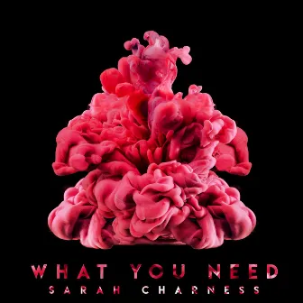 What You Need (Extended Mix) by Sarah Charness