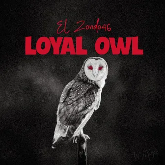 LOYAL OWL by EL Zondo46