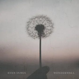 Wonderwall by Ryan Innes