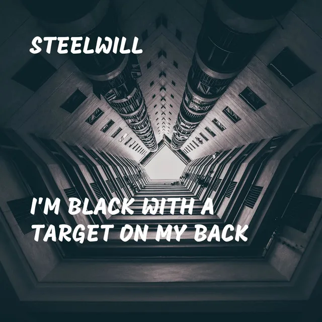 I'm Black With a Target On My Back