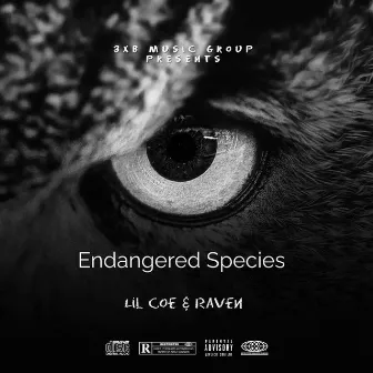 Endangered Species by Lil Coe