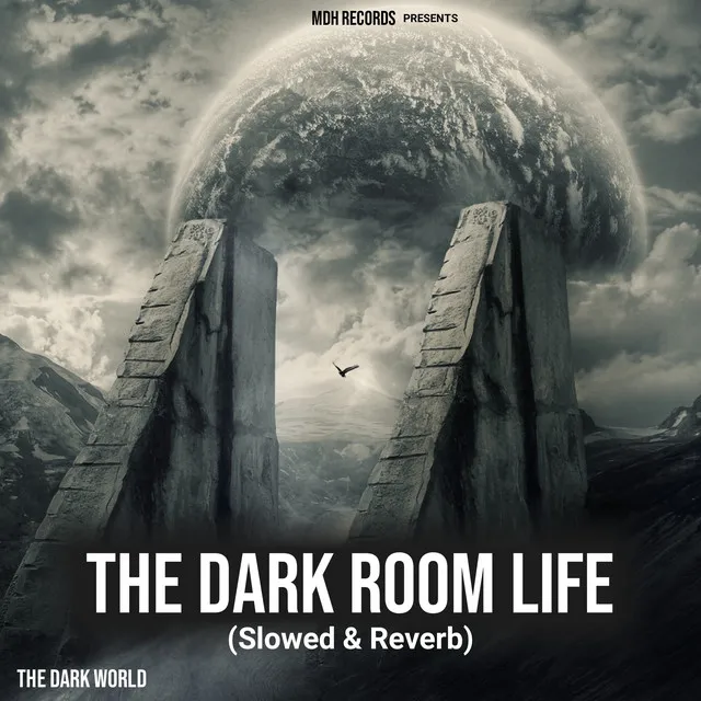 The Dark Room Life - Slowed & Reverb