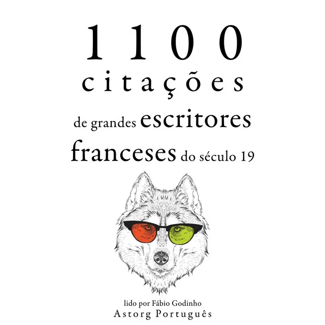 Capítulo 7.2 - 1.100 citações de grandes escritores franceses do século 19