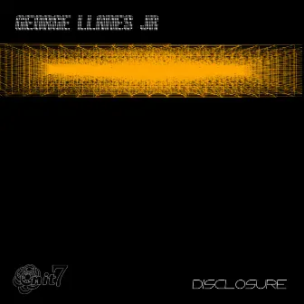 Disclosure by George Llanes Jr.